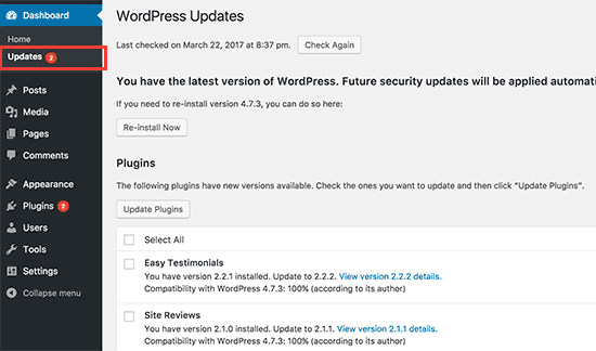 Screenshot of the WordPress updates page showing available updates for themes, plugins, and core software.